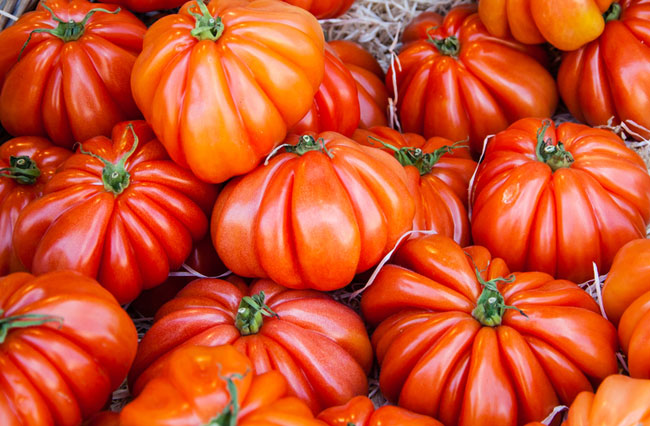 tomate différentes variétés  anciennes 1 kilo