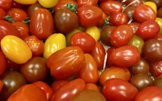 tomate cerise 400 gr